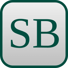 Second Brain Logo